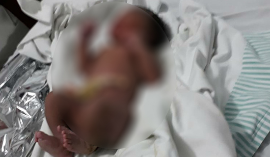 Apesar do susto, criança passa bem; caso está sendo acompanhado pelo Conselho Tutelar